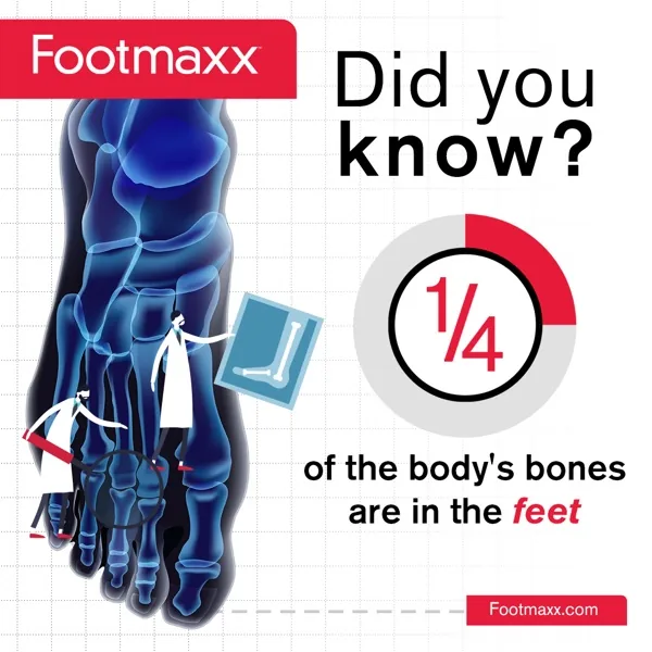 1/4 of the body's bones are in the feet — Footmaxx educational fact