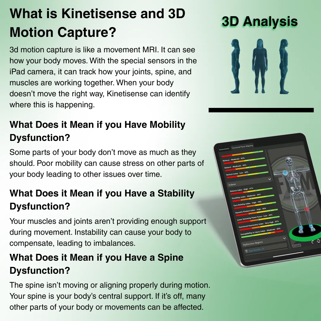 Kinetisense FPM interface showing all 7 Movement Indexes with stability and mobility classification